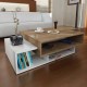 CAFFEE TABLE - T520