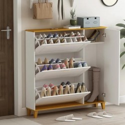 Shoes Cabinet  - G757