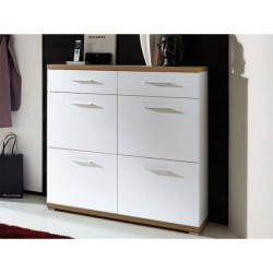 Shoes Cabinet  - G717