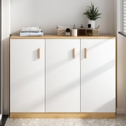 Shoes Cabinet  - G729 Shoes Cabinet  - G729